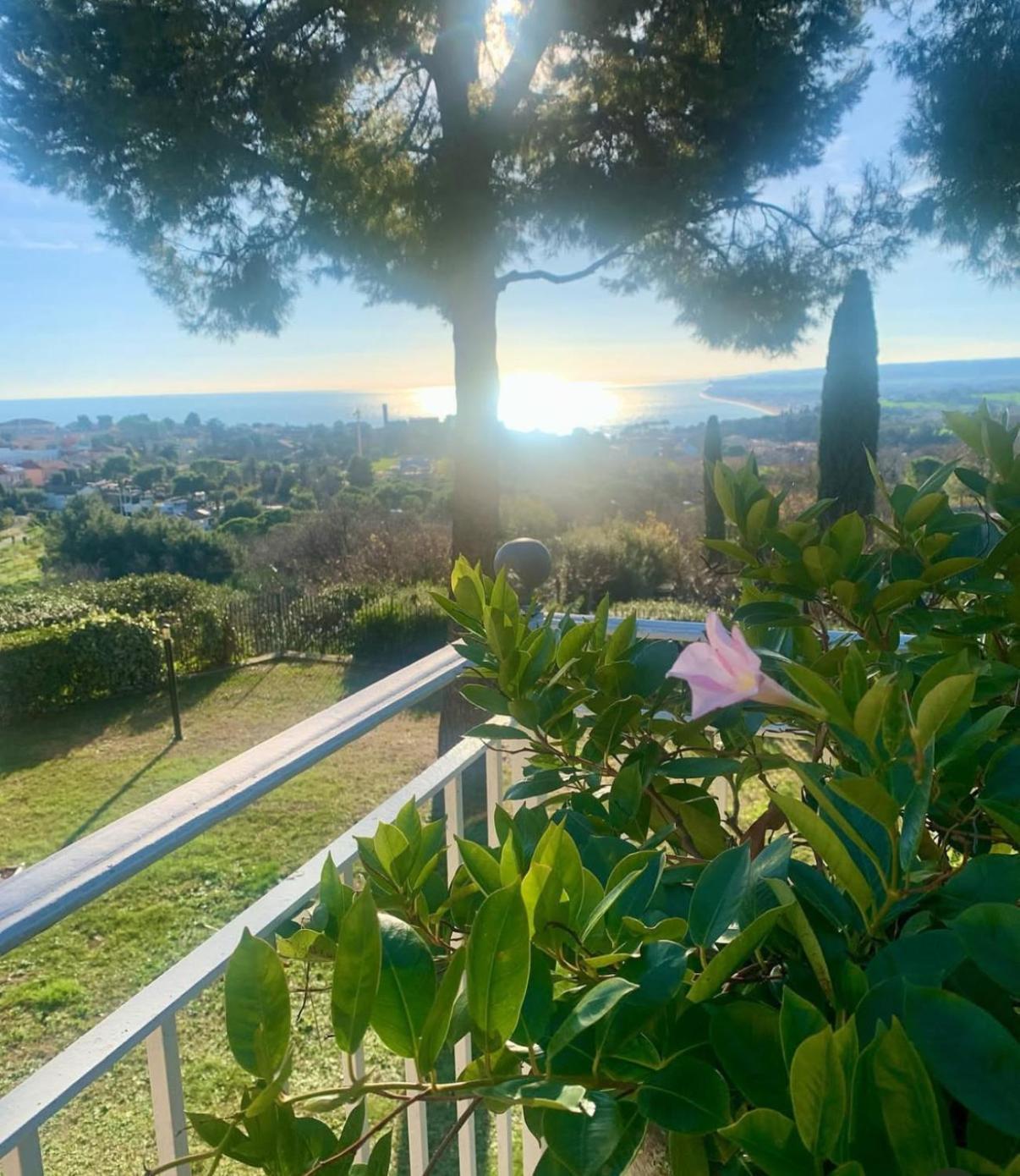Bed and Breakfast Tra Gli Alberi E Il Mare Сіроло Екстер'єр фото
