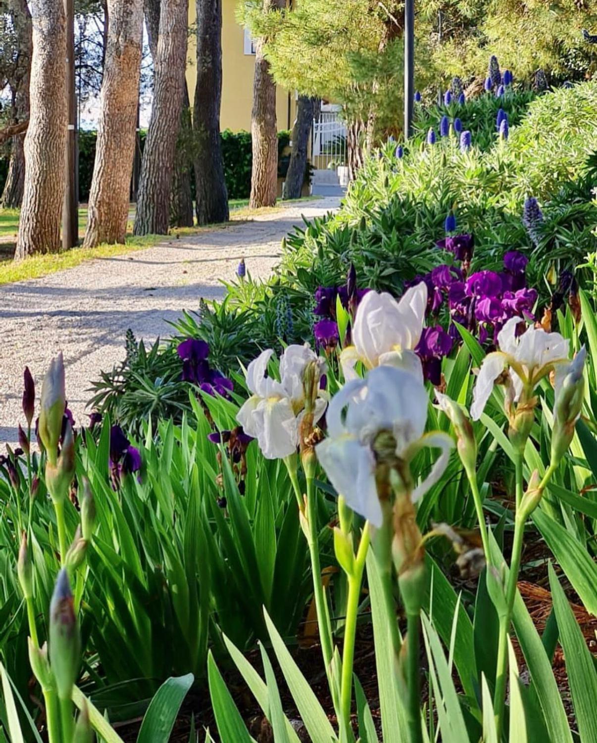 Bed and Breakfast Tra Gli Alberi E Il Mare Сіроло Екстер'єр фото