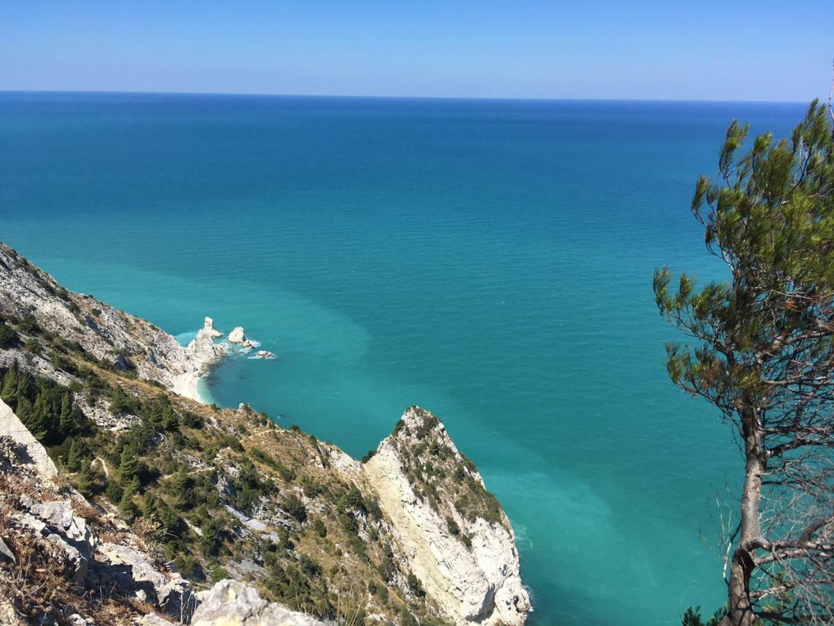 Bed and Breakfast Tra Gli Alberi E Il Mare Сіроло Екстер'єр фото