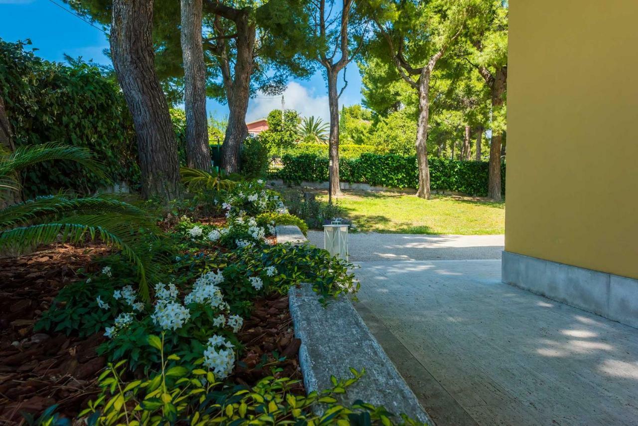 Bed and Breakfast Tra Gli Alberi E Il Mare Сіроло Екстер'єр фото