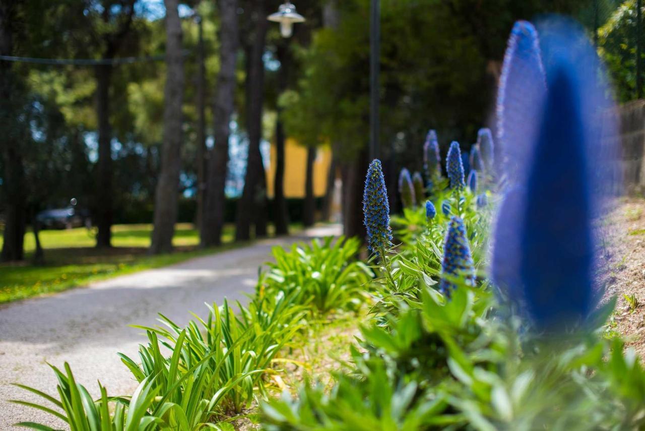 Bed and Breakfast Tra Gli Alberi E Il Mare Сіроло Екстер'єр фото